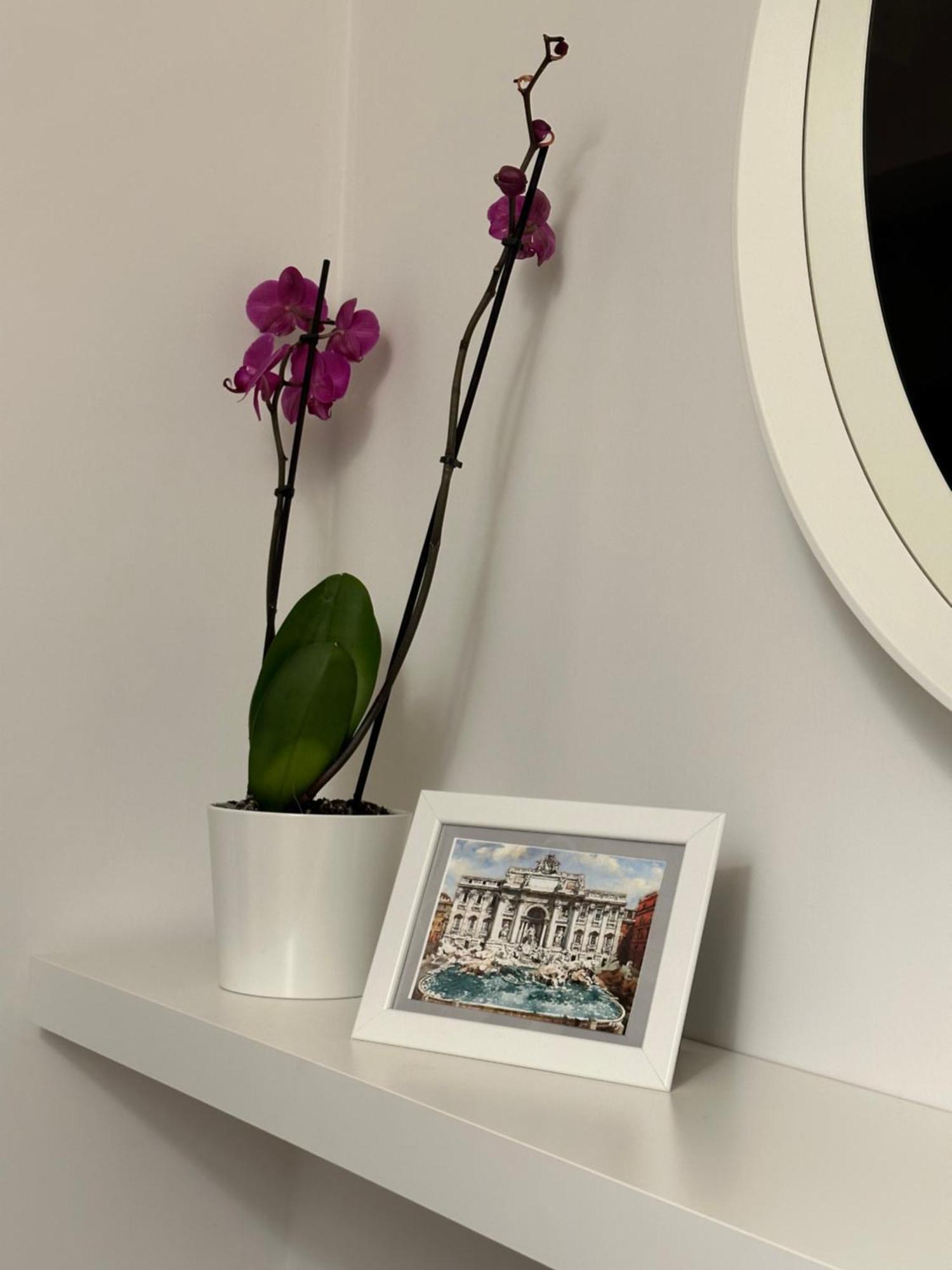 Trithome Suite Boutique Barberini Rome Exterior photo